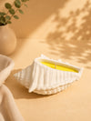 🐚 Citronella Shell | Κερί Σόγιας με Σιτρονέλα